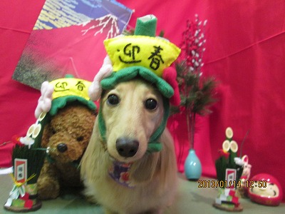 ファイル 6028-2.jpg