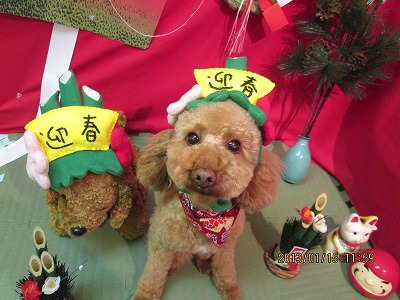 ファイル 6029-1.jpg