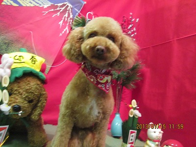 ファイル 6029-2.jpg