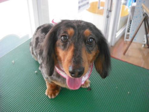 ファイル 603-1.jpg