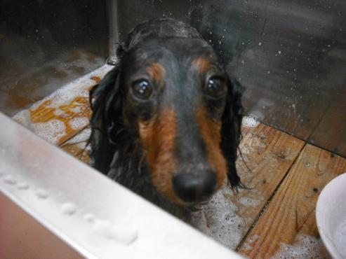 ファイル 603-3.jpg