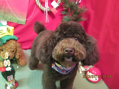 ファイル 6030-1.jpg