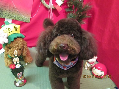 ファイル 6030-2.jpg