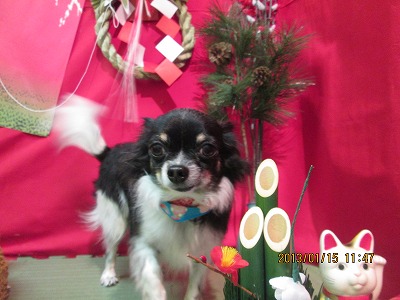 ファイル 6031-2.jpg