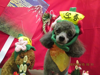 ファイル 6032-1.jpg