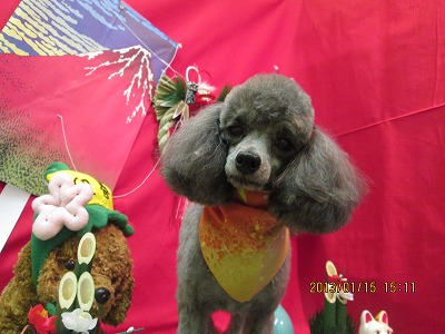 ファイル 6032-2.jpg