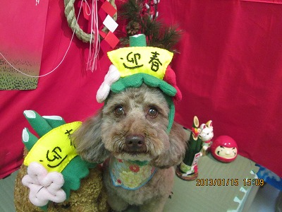 ファイル 6033-1.jpg