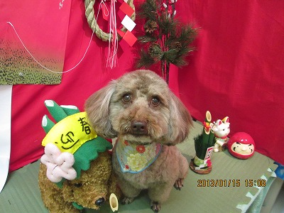 ファイル 6033-2.jpg