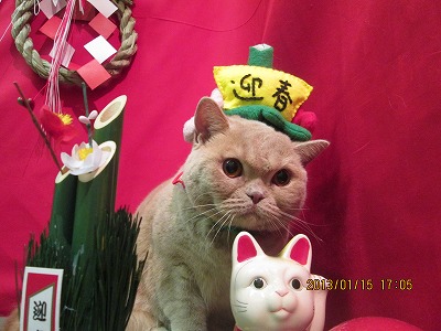 ファイル 6034-1.jpg