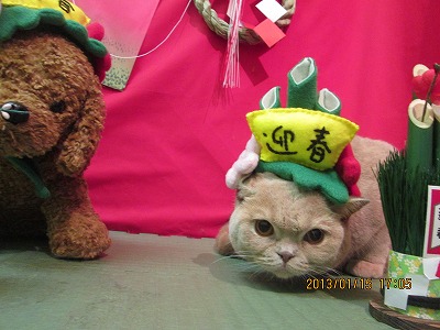 ファイル 6034-2.jpg