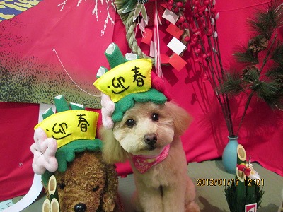 ファイル 6035-2.jpg