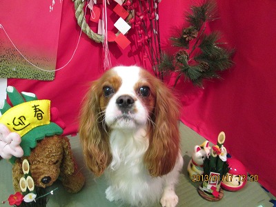 ファイル 6036-2.jpg