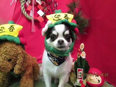 ファイル 6038-1.jpg