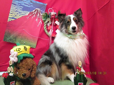 ファイル 6039-2.jpg