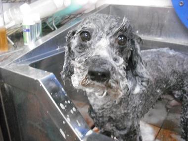 ファイル 604-2.jpg