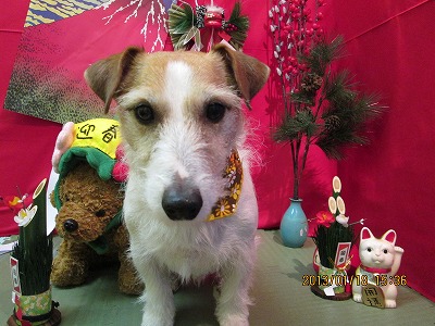 ファイル 6040-2.jpg