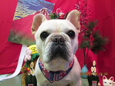 ファイル 6041-1.jpg