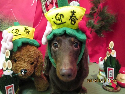 ファイル 6042-1.jpg