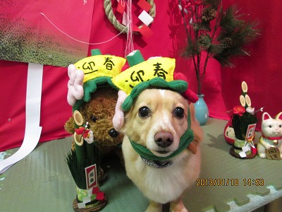 ファイル 6043-1.jpg