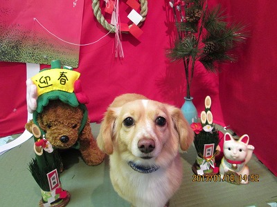 ファイル 6043-2.jpg