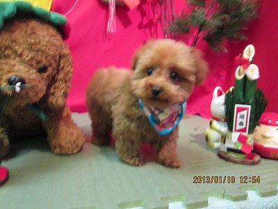 ファイル 6045-1.jpg