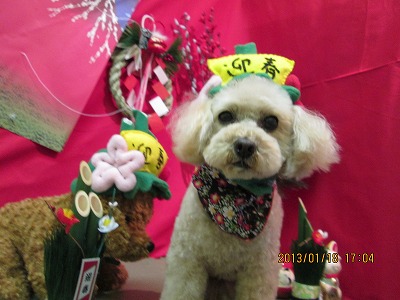 ファイル 6046-1.jpg