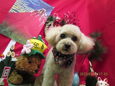 ファイル 6046-2.jpg