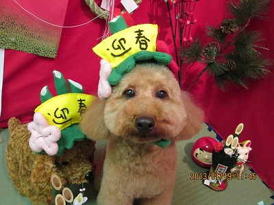 ファイル 6047-1.jpg