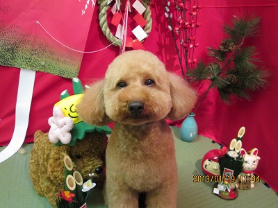 ファイル 6047-2.jpg