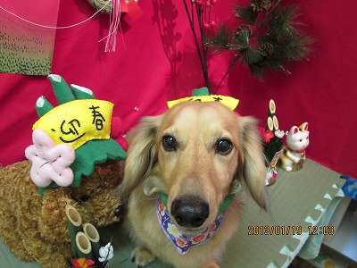 ファイル 6048-2.jpg