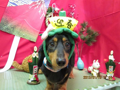 ファイル 6049-1.jpg