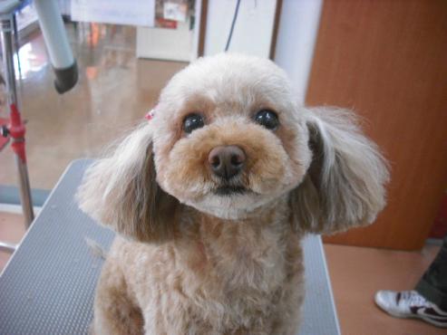 ファイル 605-1.jpg