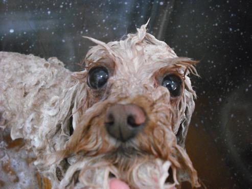 ファイル 605-2.jpg