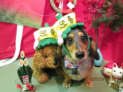 ファイル 6050-1.jpg