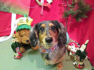 ファイル 6050-2.jpg