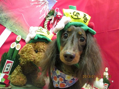 ファイル 6051-1.jpg