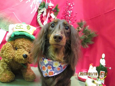 ファイル 6051-2.jpg