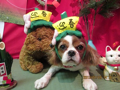 ファイル 6052-1.jpg