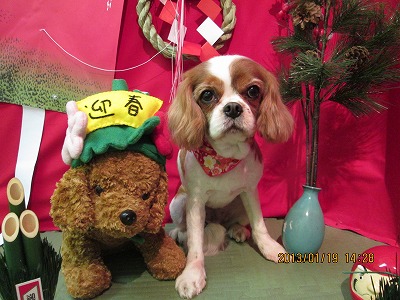 ファイル 6052-2.jpg