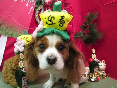 ファイル 6053-1.jpg