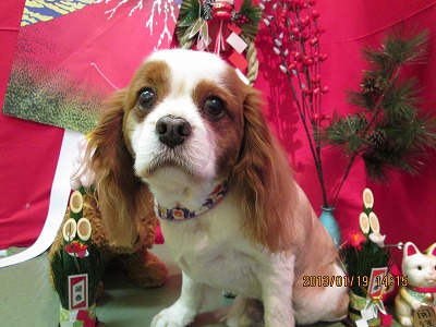 ファイル 6053-2.jpg