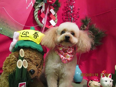 ファイル 6054-2.jpg