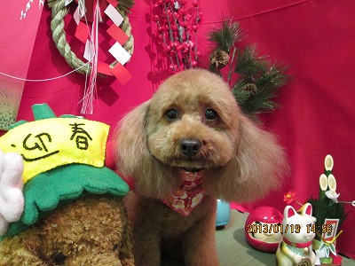 ファイル 6055-2.jpg