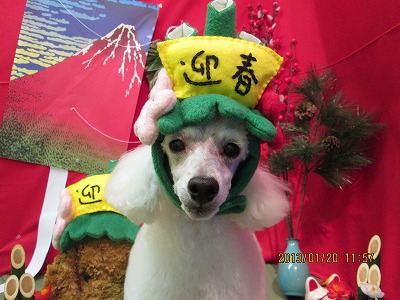 ファイル 6056-1.jpg