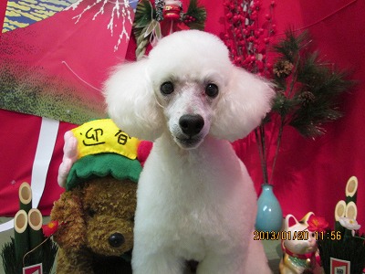 ファイル 6056-2.jpg