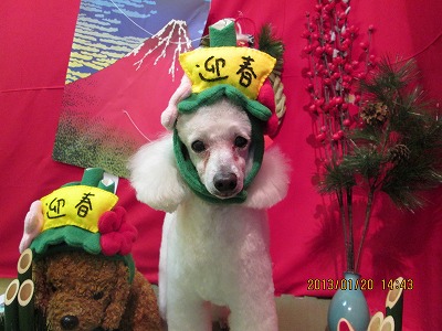 ファイル 6057-1.jpg