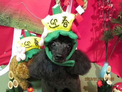 ファイル 6058-1.jpg