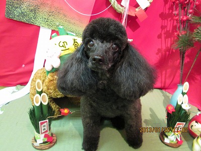 ファイル 6058-2.jpg