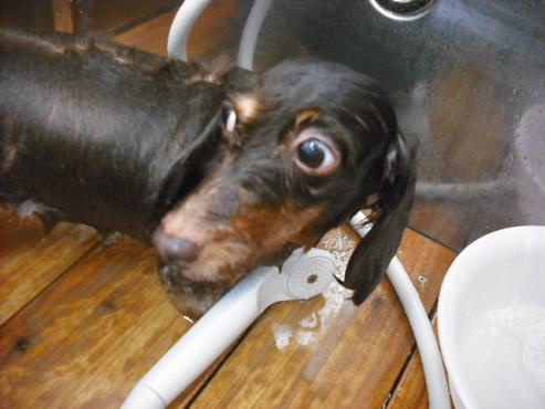 ファイル 606-2.jpg