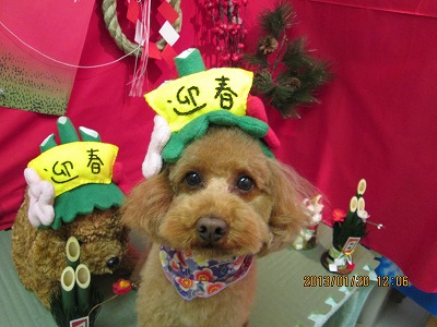 ファイル 6060-1.jpg